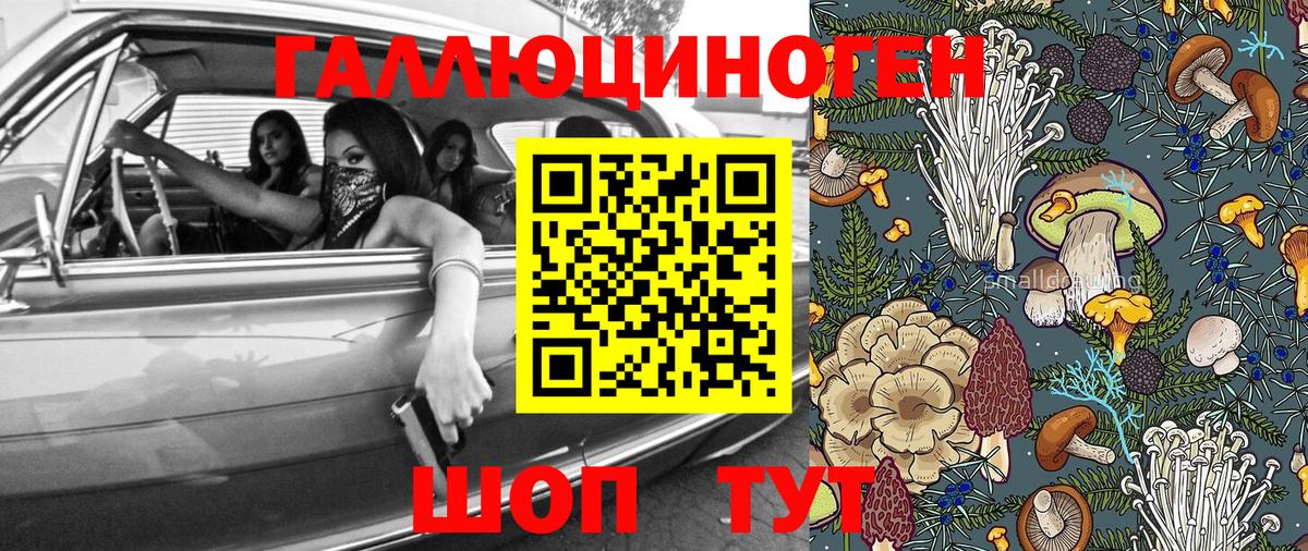 Псилоцибиновые грибы Cubensis Елизово