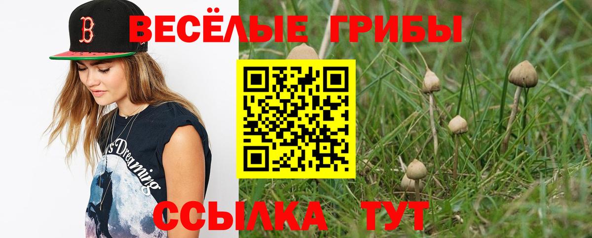Галлюциногенные грибы Magic Shrooms  Вход с VPN  цена   Елизово 